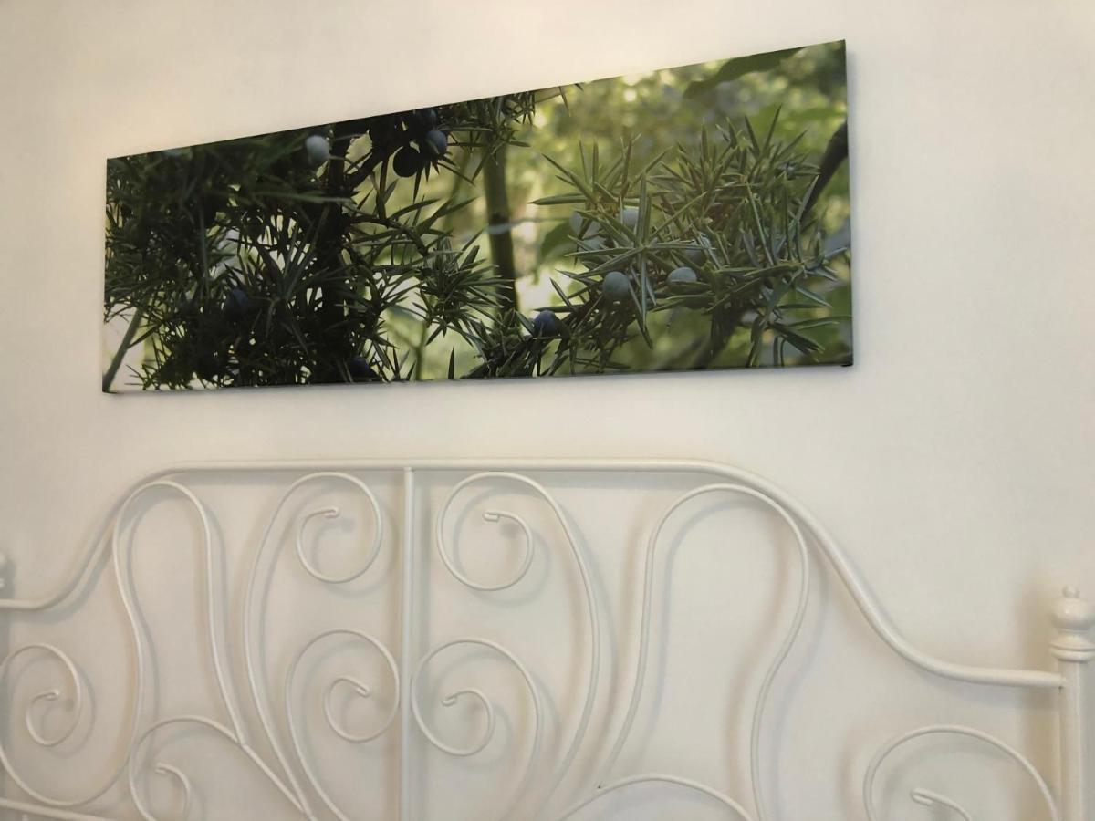 Sa Vivenda Rooms Alghero Ngoại thất bức ảnh